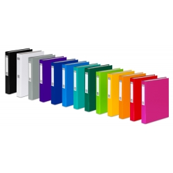 Segregator A4 40mm 2 ringi FCK oklejany kolor Vaupe 056