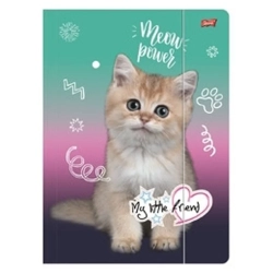 Teczka z gumką A4 300g Kitty Party