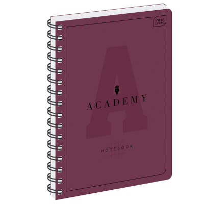 Kołozeszyt Academy notebook A5 100 kartek Interdruk