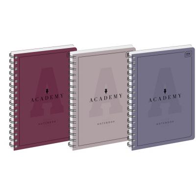 Kołozeszyt Academy notebook A5 100 kartek Interdruk