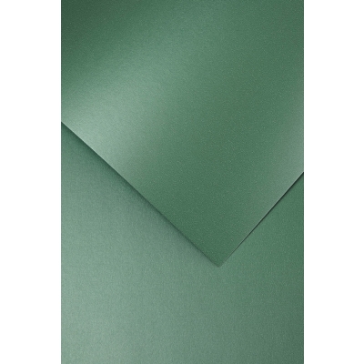 Papier wizytówkowy A4 220g Iceland zielony 20 sztuk
