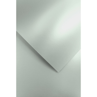 Papier wizytówkowy A4 270g Millennium srebrny 20 sztuk