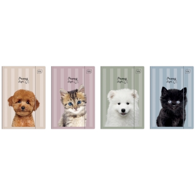 Teczka z Gumka A4+Lux Puppy interdruk