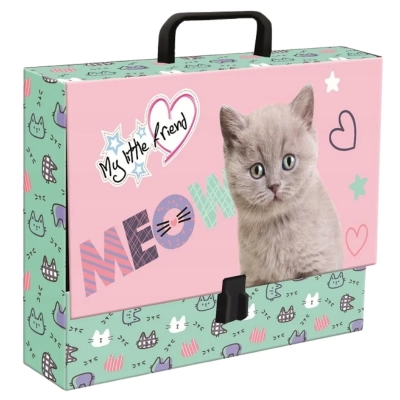 Teczka z rączką gruba A4 XL Little Friend Fluffy Kitty
